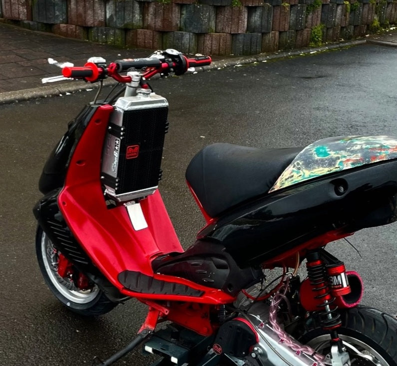 Piaggio - Kühlerschutz für RPG Radiator